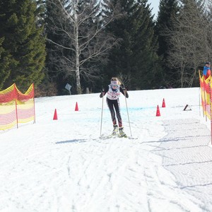 Závody v běhu na lyžích - Horní Mísečky